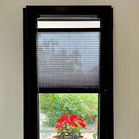 Picasso Gazde/Camere de închiriat