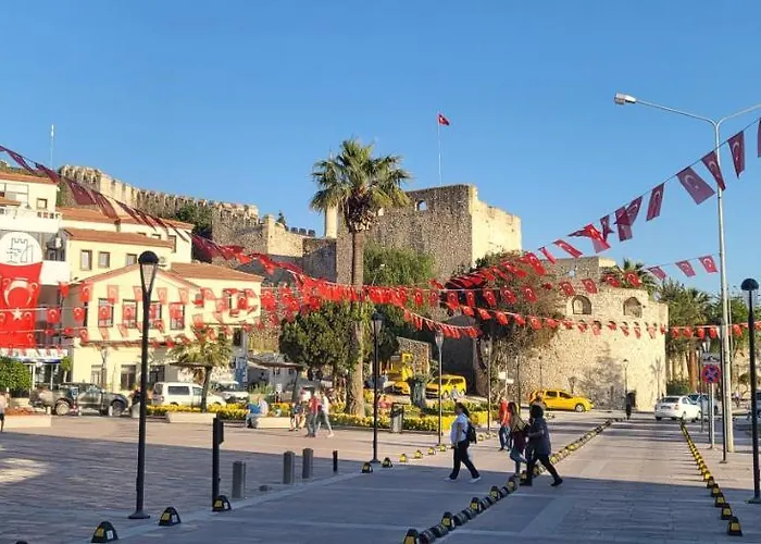 Picasso בית אירוח *