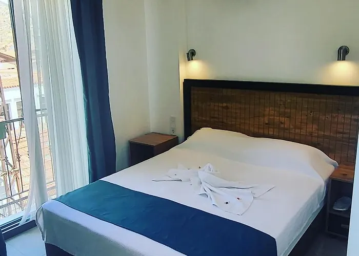 Picasso Проживание в семье *