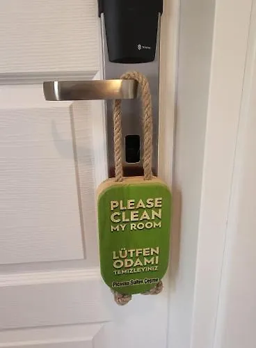 Picasso Проживание в семье