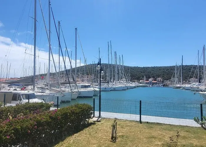 Picasso Проживание в семье *