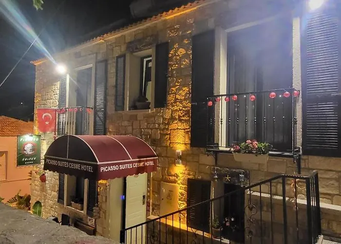 Picasso Проживание в семье *