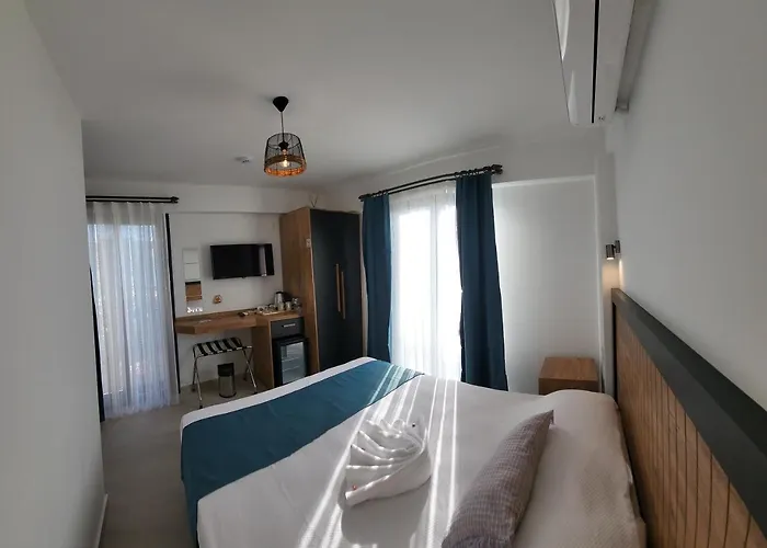 Picasso Проживание в семье *