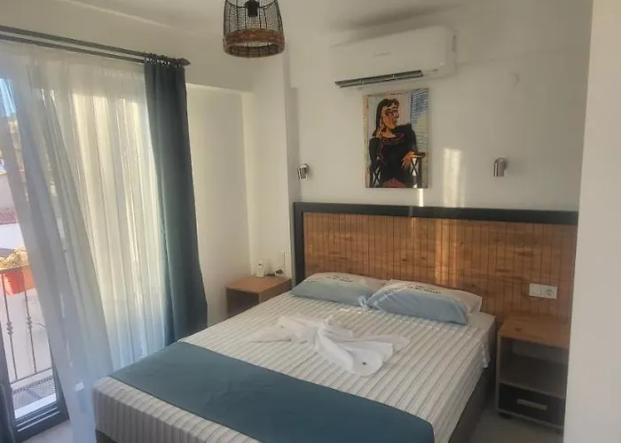 Picasso Проживание в семье *