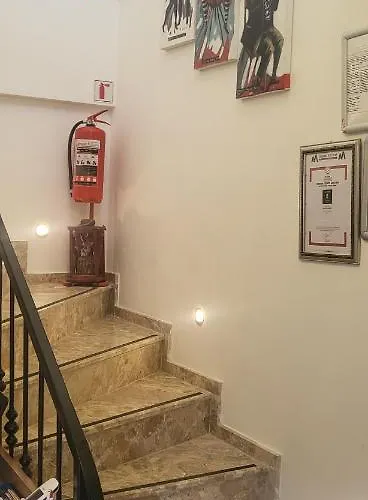 Проживание в семье Picasso