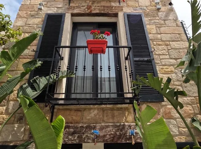 Проживание в семье Picasso *